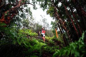 BIB: 
                            <button type="button" onclick="openModal(26202361)" class="btn btn-primary btn-sm float-right btn-popup" data-toggle="modal" data-target=".modal-high-quality">
                        <i class="fas fa-shopping-cart"></i> Add to Cart
                    </button>
                                            <button type="button" onclick="isThisMe(26202361, true)" class="btn btn-success btn-sm float-right btn-popup btn-isme hidden" data-toggle="tooltip" data-placement="bottom" title="นี่คือรูปของคุณใช่ไหม คลิกที่นี่เพื่อเอาเข้าอัลบั้ม">
                        <i class="fas fa-plus"></i> Add to album
                    </button>
                    <button type="button" onclick="isThisMe(26202361, false)" class="btn btn-warning btn-sm float-right btn-popup btn-isnotme hidden">
                        <i class="fas fa-ban"></i> Remove from album
                    </button>